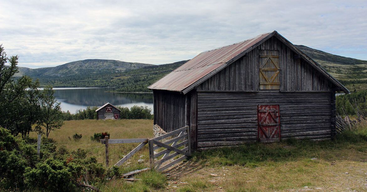 Se hvem som er «Farmen kjendis»-favoritt