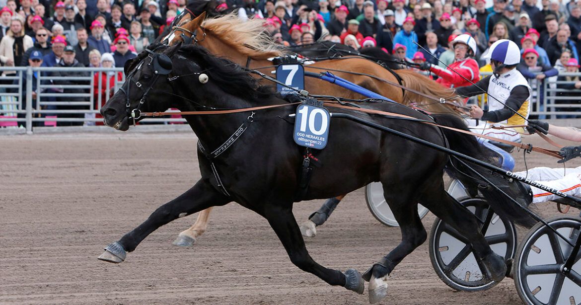 Før kjendisløpet: Tror prinsessa kan slås